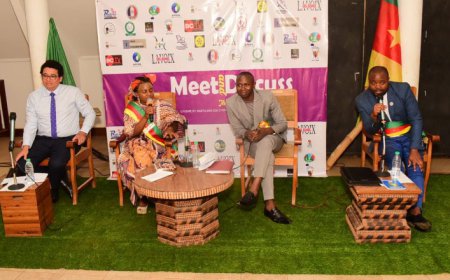 Meet and Discuss : La plateforme de l’éducation citoyenne