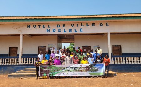 Gestion durable des forêts : WYF-PRO façonne la commune de Ndélélé