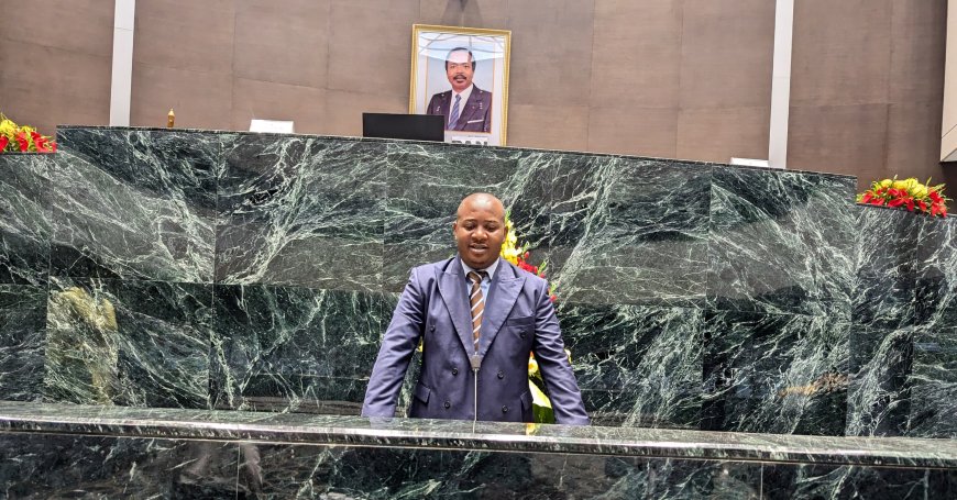 Domestication de l'article 14 du Protocole de Maputo : Au Cameroun, La CAMNAFAW obtient des avancées historique à l'Assemblée Nationale sur les droits reproductifs