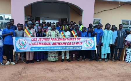 Présidentielle 2025 : les jeunes parlementaires de l’Adamaoua prônent la paix