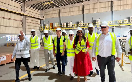Raffinerie de Kribi : La technologie modulaire pour tenir les délais
